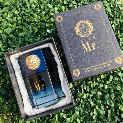 Blue Mr Perfume by Sallion (original) - Arabiandrops